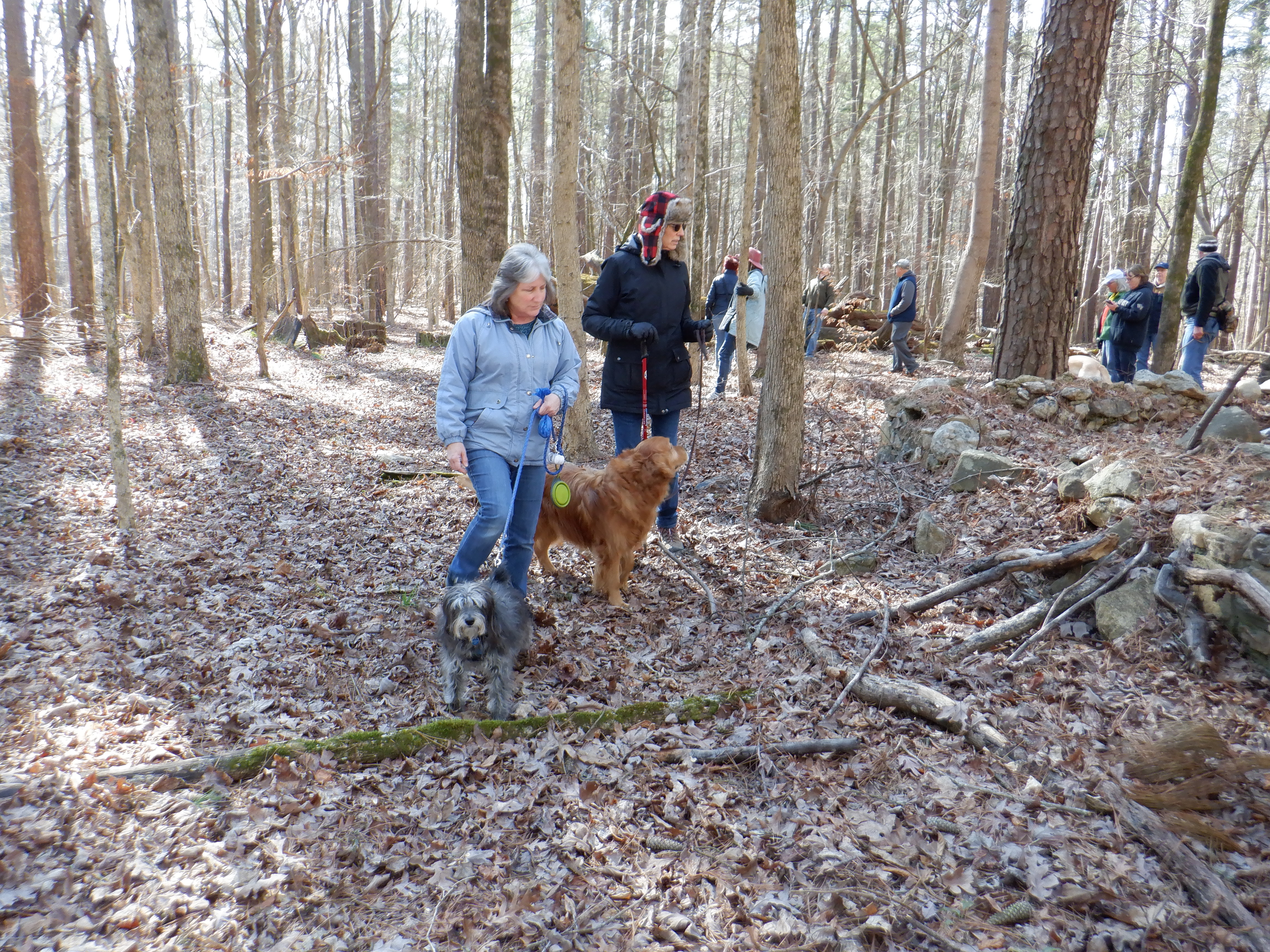 ./2020/01 - Find Larry/DSCF0837.JPG